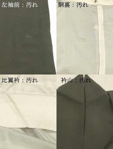平和屋着物■豪華黒留袖　作家物　飛鶴風景花文　藤花房　暈し染め　金彩　正絹　逸品　DABE6092cm