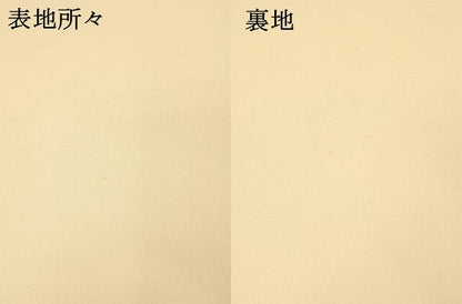 平和屋着物●塩瀬　九寸名古屋帯　作家物　型染　正倉院花文　金彩　正絹　逸品　DABE6179cm