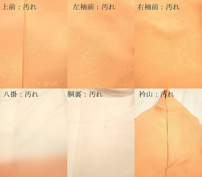 平和屋着物■上質な小紋 箔散らし地紋 霞文 暈し染め 正絹 逸品 DABE6959zy