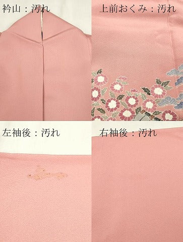 平和屋着物■豪華色留袖 友禅 風景文 正絹 逸品 DABE6965zy