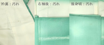 平和屋着物■上質な小紋 霞文 暈し染め 正絹 逸品 DABE6988zy
