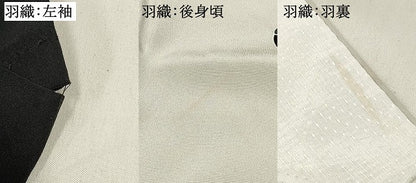 平和屋着物[]七五三　男の子　祝着・羽織セット　鷹　鷲　エ霞吉祥文　暈し染め　金銀彩　逸品　DABE7166ma
