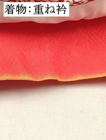 平和屋着物[]七五三　女の子　３歳　祝着　三つ身　襦袢付き　花蝶文　金彩　逸品　DABE7184ma