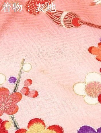 平和屋着物[]お宮参り　女の子　祝着　産着　初着　のしめ　花車文　暈し染め　金彩　逸品　DABE7267ma