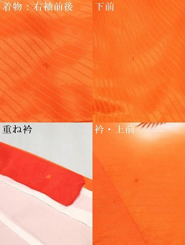 平和屋着物[]七五三　女の子　７歳　祝着　四つ身　長襦袢(無双仕立て)　飛鶴花文　暈し染め　金彩　逸品　DABE7354ma