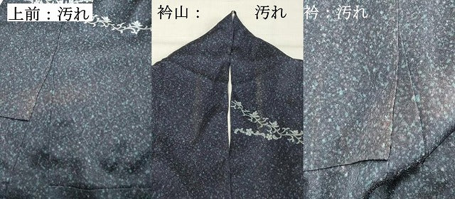 平和屋着物■訪問着　道長花文　正絹　逸品　DABE7621cd