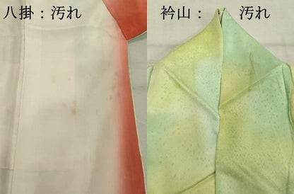 平和屋着物■訪問着　手描き　草花文　暈し染め　金彩　正絹　逸品　DABE7628cd