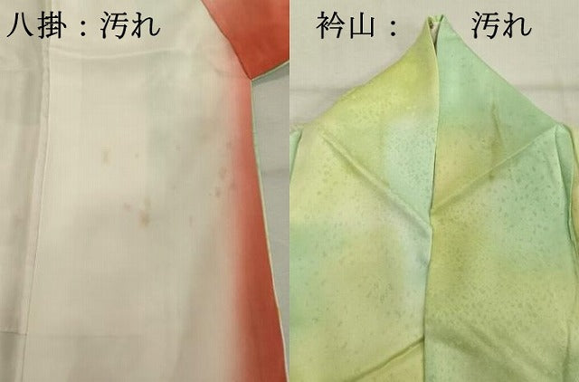 平和屋着物■訪問着　手描き　草花文　暈し染め　金彩　正絹　逸品　DABE7628cd