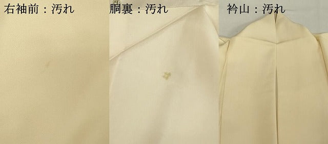平和屋着物■色留訪問着 女人文 正絹 逸品 DABE7666cd