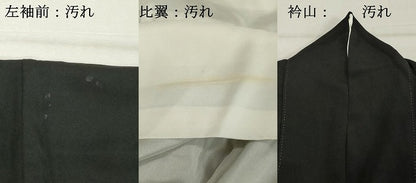 平和屋着物■豪華黒留袖 花鳥文 金彩 正絹 逸品 DABE7679cd