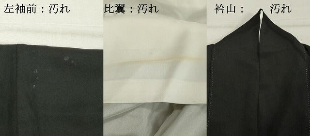 平和屋着物■豪華黒留袖 花鳥文 金彩 正絹 逸品 DABE7679cd