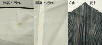 平和屋着物■上質な小紋 間道 正絹 逸品 DABE7688cd