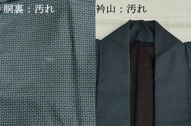 平和屋着物■男性 本場大島紬 100亀甲 総詰め 正絹 逸品 DABE7726cd