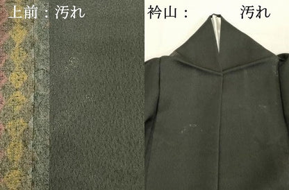 平和屋着物■訪問着　菱間道　正絹　逸品　DABE7819cd