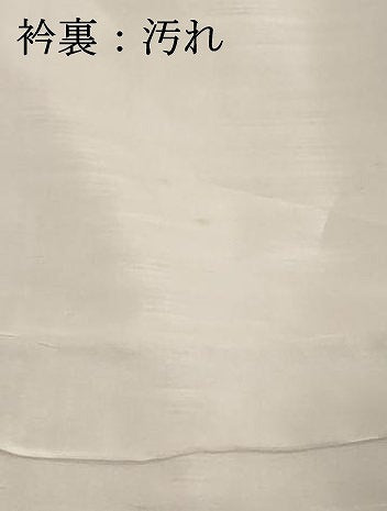 平和屋着物■上質な紬 横段文 正絹 逸品 DABE7916cd