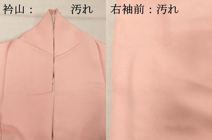 平和屋着物■訪問着 寿光織 草葉文 金糸 正絹 逸品 DABE7969cd