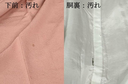 平和屋着物■訪問着　総刺繍　舞花文　金糸　正絹　逸品　DABE8618qa