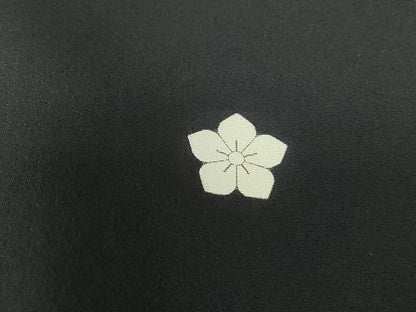 平和屋着物■豪華黒留袖 作家物 駒刺繍 立波葉尽くし文 健龍 暈し染め 金彩 正絹 逸品 DABE8639qa