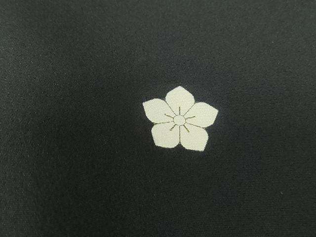平和屋着物■豪華黒留袖 作家物 駒刺繍 立波葉尽くし文 健龍 暈し染め 金彩 正絹 逸品 DABE8639qa
