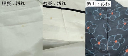 平和屋着物■上質な紬 舞花文 正絹 逸品 DABE8653qa