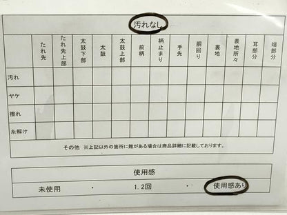 平和屋着物◎六通柄袋帯　唐織　枝椿　間道　金糸　正絹　逸品　DABE8714qa