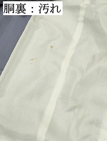 平和屋着物■上質な紬　間道　正絹　逸品　DABE8895qa
