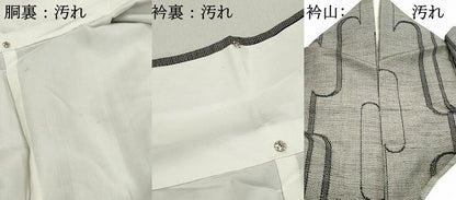 平和屋着物■上質な紬 駒刺繍 幾何学文 金彩 正絹 逸品 DABE8983qa