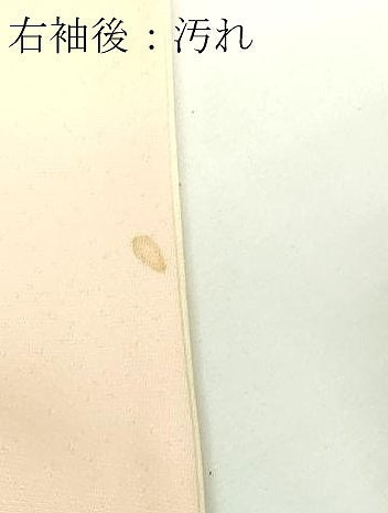 平和屋着物■訪問着 枝梅松文 暈し染め 金彩 正絹 逸品 DABE9182sf