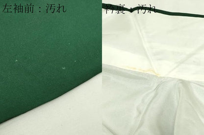 平和屋着物■訪問着 鳳凰正倉院花文 暈し染め 金彩 正絹 逸品 DABE9245sf