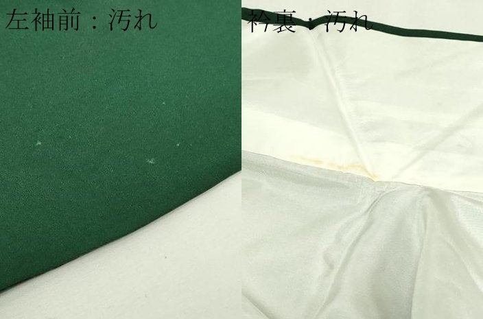 平和屋着物■訪問着 鳳凰正倉院花文 暈し染め 金彩 正絹 逸品 DABE9245sf