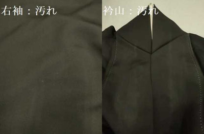 平和屋着物■豪華黒留袖 寿光織 孔雀枝梅文 暈し染め 金糸 正絹 逸品 DABE9592du