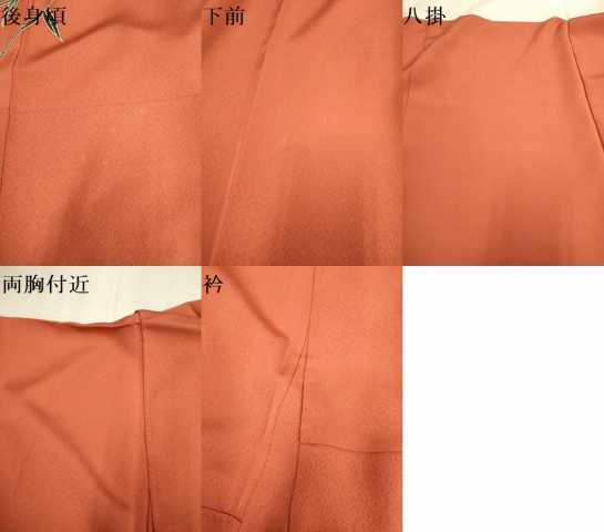平和屋着物●訪問着　型染　花鳥文　暈し染め　正絹　逸品　DABE9686du