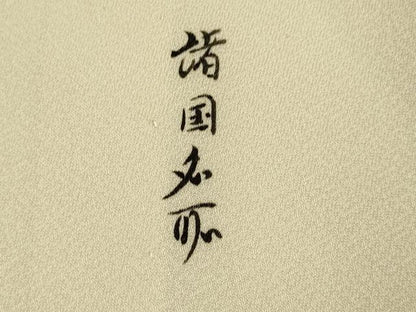 平和屋着物▽訪問着　単衣　諸国名取　正絹　逸品　DABE9882du