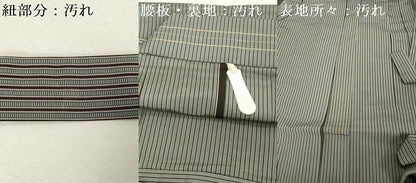 平和屋着物■男性　行灯袴　縞　正絹　逸品　DABF0185ea