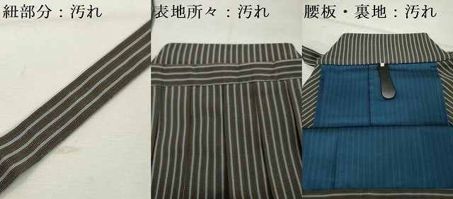 平和屋着物□男性 行灯袴 縞 正絹 逸品 DABF0186ea