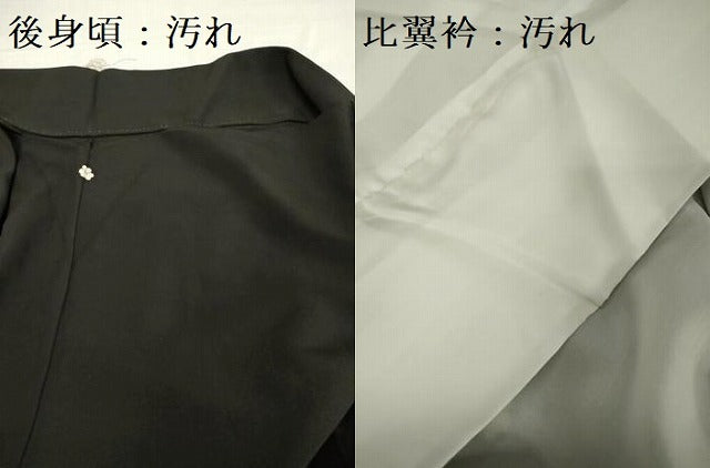 平和屋着物■訪問着　駒刺繍　桐菱文　金彩　正絹　逸品　DABF0208ea