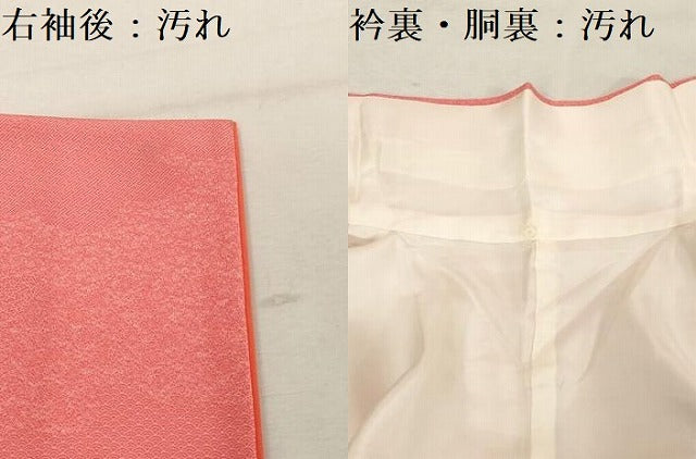 平和屋着物■江戸小紋　作家物　寄せ小紋柄　正絹　逸品　DABF0224ea
