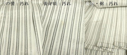 平和屋着物●男性　行灯袴　縞　銀糸　洗える着物　DABF0232ea