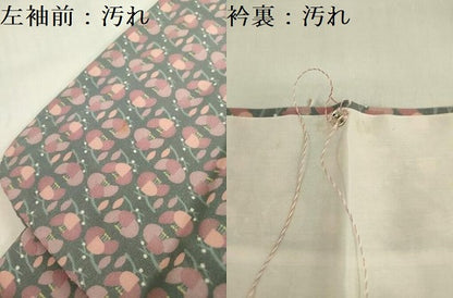 平和屋着物■上質な小紋　枝花尽くし　正絹　逸品　DABF0240ea