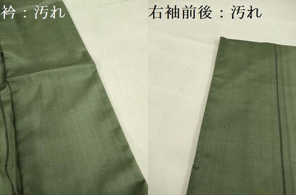 平和屋着物■訪問着　紬地　短冊枝花間道　正絹　逸品　DABF0250ea