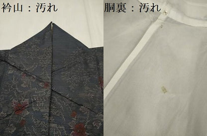 平和屋着物■本場大島紬　風景枝花文　正絹　逸品　DABF0500ea