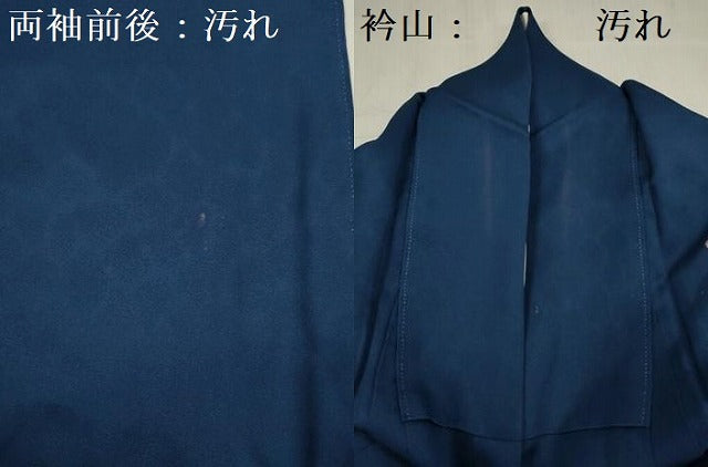 平和屋着物■訪問着　花蝶文　正絹　逸品　DABF0521ya