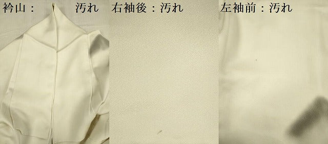 平和屋着物■訪問着　手描き　風景文　金彩　正絹　逸品　DABF0560ya