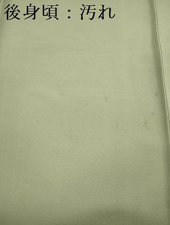 平和屋着物■上質な色無地　夏虫色　正絹　逸品　DABF0567ya