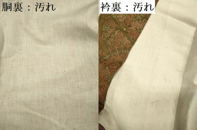 平和屋着物■上質なお召　正倉院花文　正絹　逸品　DABF0574ya