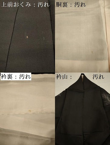 平和屋着物■訪問着　寿光織　枝葉文　黒地　金銀糸　正絹　逸品　DABF0593ya