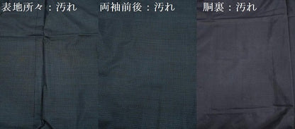 平和屋着物■男性　本場大島紬　100亀甲　総詰め　正絹　逸品　DABF0640ya
