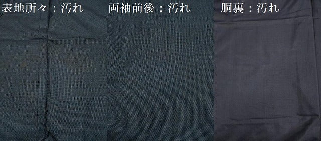 平和屋着物■男性　本場大島紬　100亀甲　総詰め　正絹　逸品　DABF0640ya