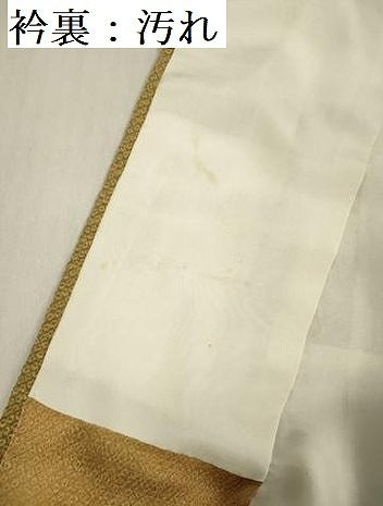 平和屋着物■訪問着 駒刺繍 花唐草文 金彩 正絹 逸品 DABF0663ya