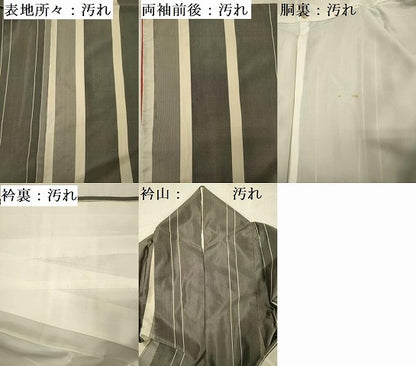 平和屋着物■上質な紬　間道　正絹　逸品　DABF0780ya